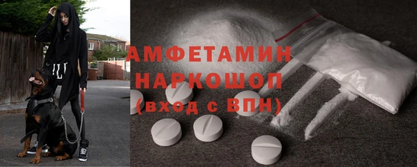 стаф Вяземский