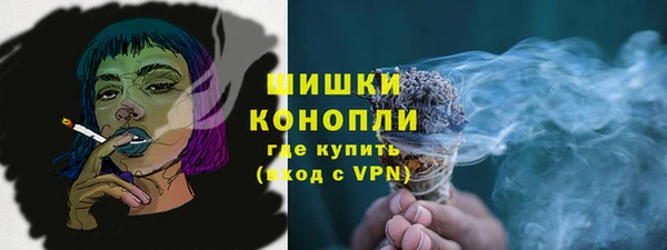 гидра Володарск