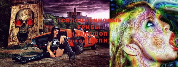 Альфа ПВП Вязьма