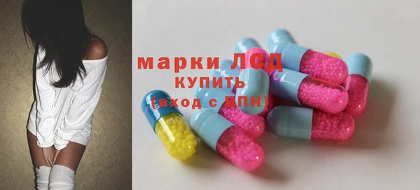 стаф Вяземский