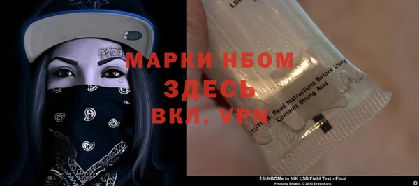 стаф Вяземский