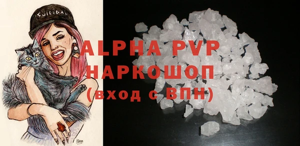 гидра Володарск