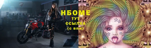 стаф Вяземский